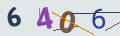 verifycode